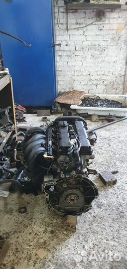 Двигатель ford focus 2 1.6