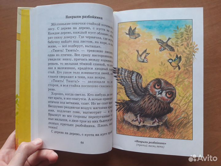 Комплект детских книг с яркими иллюстрациями