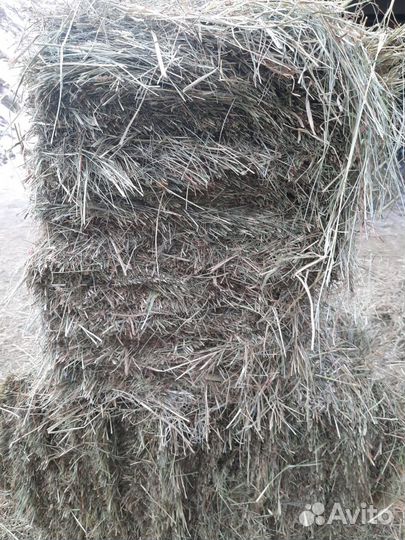 Сено высокого качества (брикет), доставка