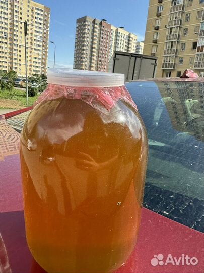 Мед цветочный разнотравье 2024