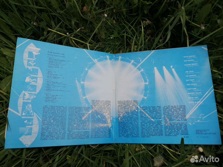 Pink Floyd Delicate Sound of Thunder