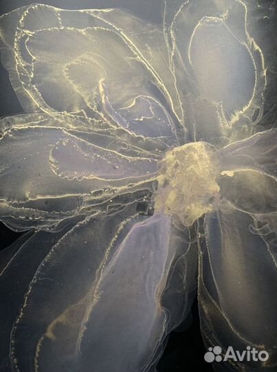 Невероятно нежный цветочек 50*70