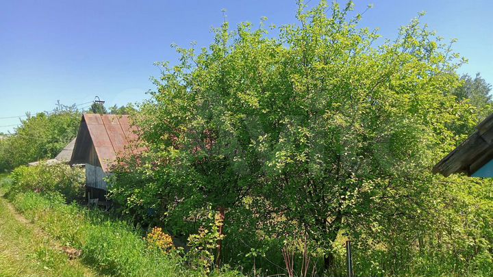 Дача 24 м² на участке 4 сот.