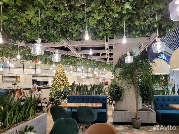 Искусственное озеленение, фитодизайн