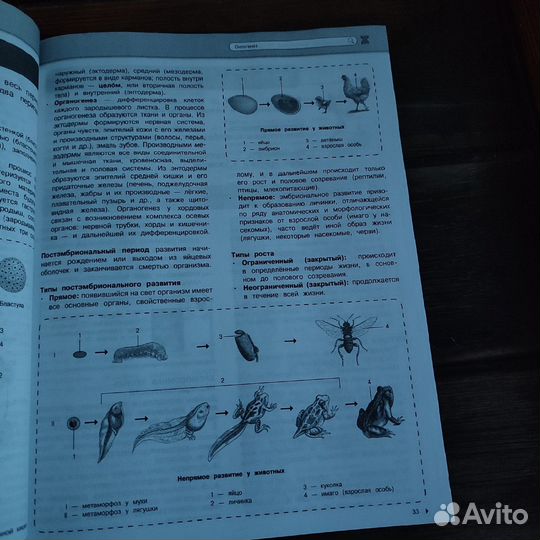 Наглядный школьный курс биология огэ,егэ