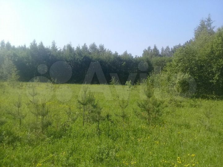 Участок 22 га (СНТ, ДНП)