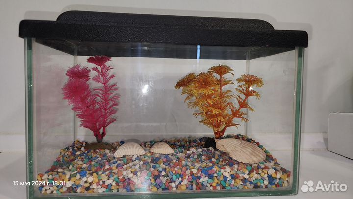Аквариум