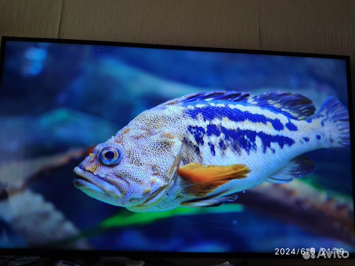 Телевизор samsung SMART tv 50''