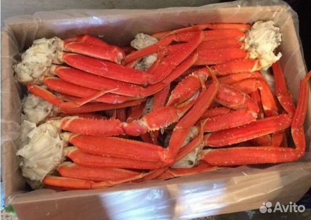 Краб стригун (опилио) в Наличии купить в Воронеже | Товары для дома и ...