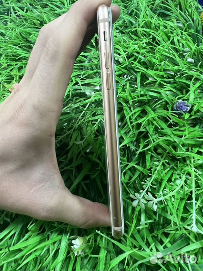 iPhone 8 Plus Ru/A 64gb