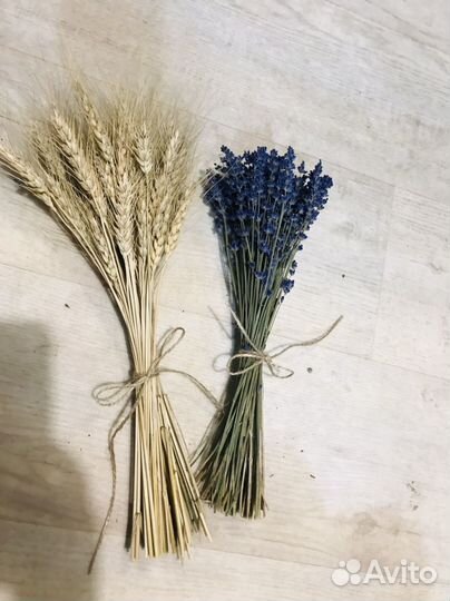 Букет сухоцвет