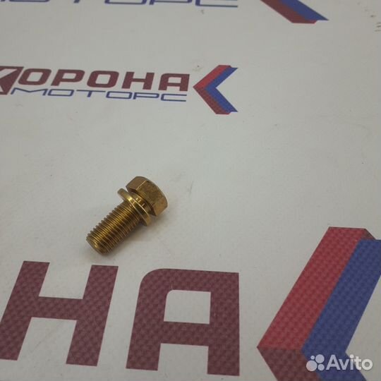 Болт крепления заднего суппорта