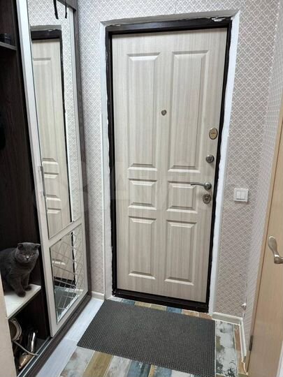 1-к. квартира, 25 м², 1/5 эт.