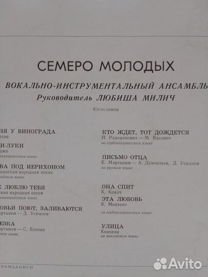 Виниловые пластинки