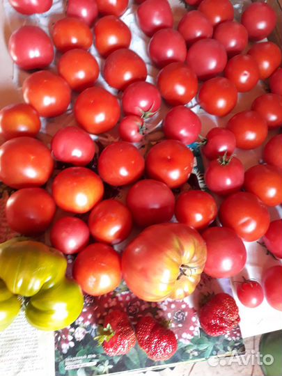 Огурцы и помидоры