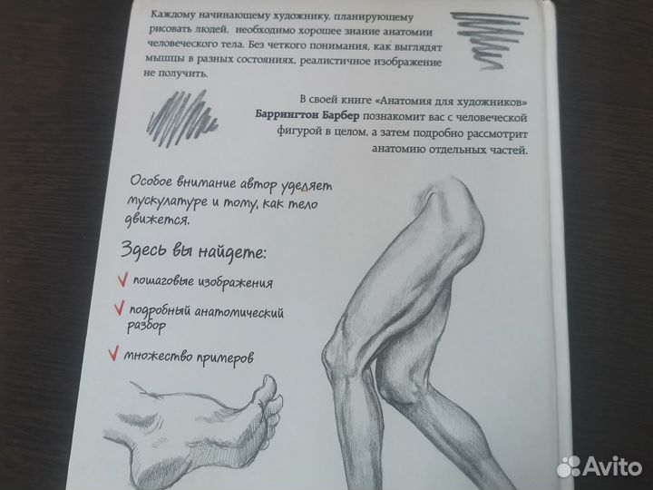 Книга Анатомия для художников