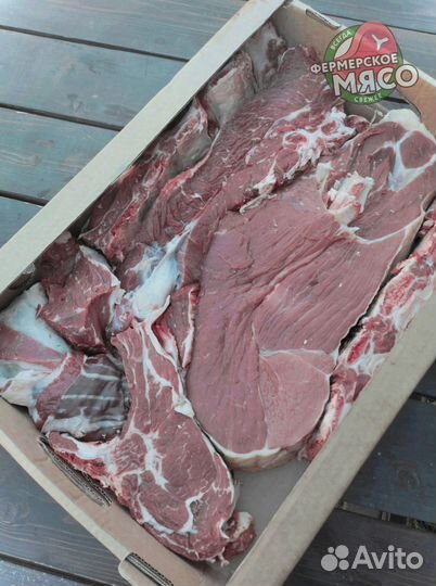 Мясо говядина