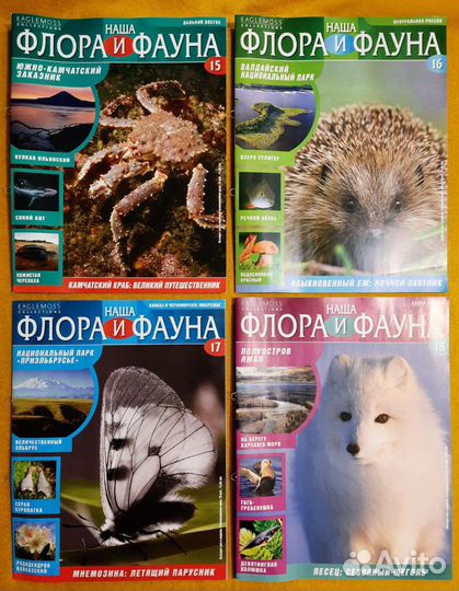 Наша флора и фауна