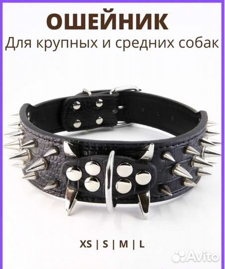 Стильный ошейник для любимца