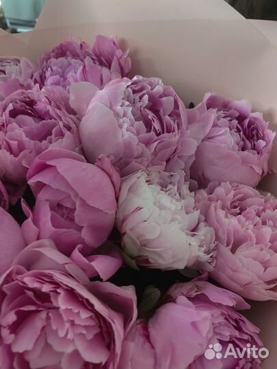Доставка цветов пионы