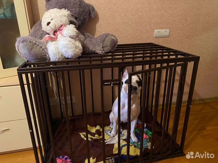 Клетка антивандальная