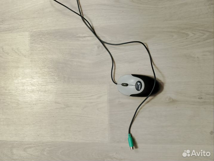 Компьютерная мышь