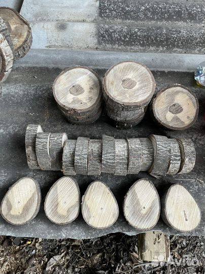 Торцевые спилы деревьев
