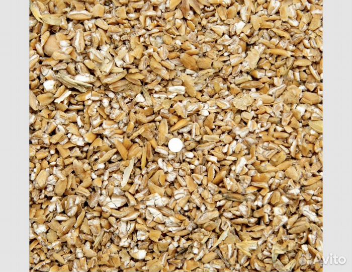 Продажа зерна и дробленки