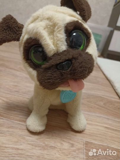 Интерактивная собака