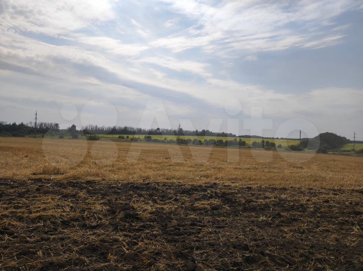 Участок 30 сот. (ИЖС)