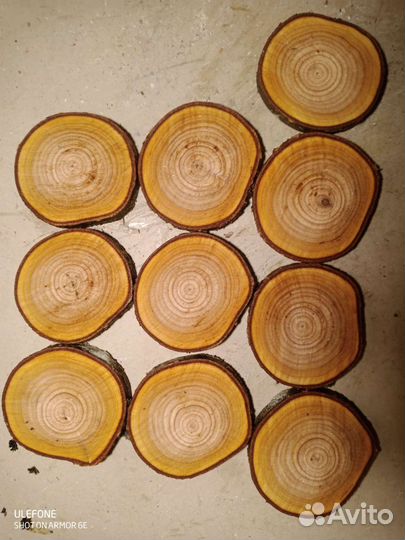 Спилы дерева