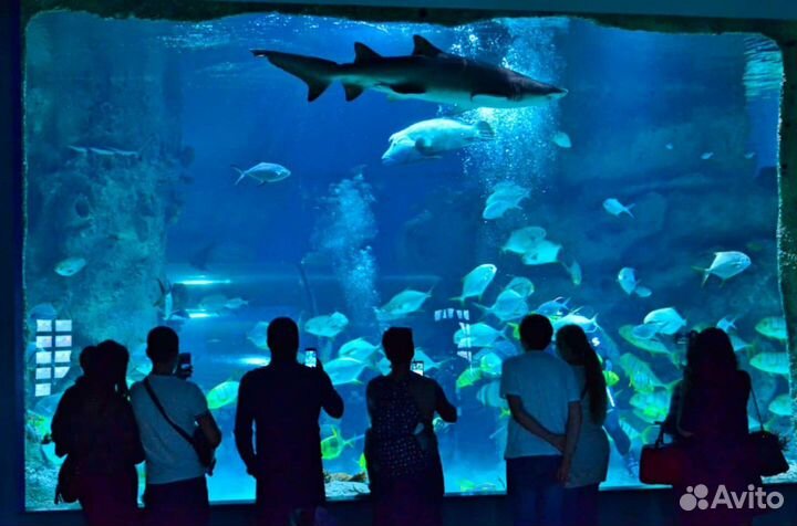 Билеты в Москвариум (океанариум) на ВДНХ