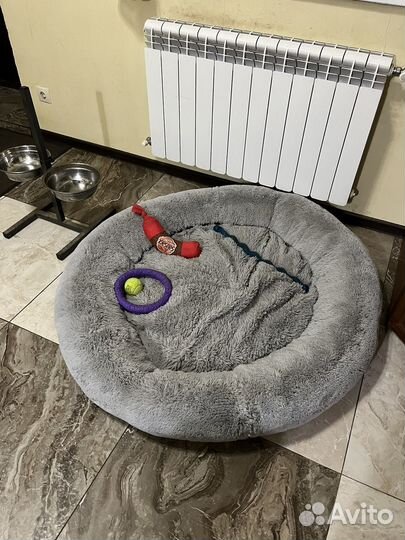 Лежак для собаки бу