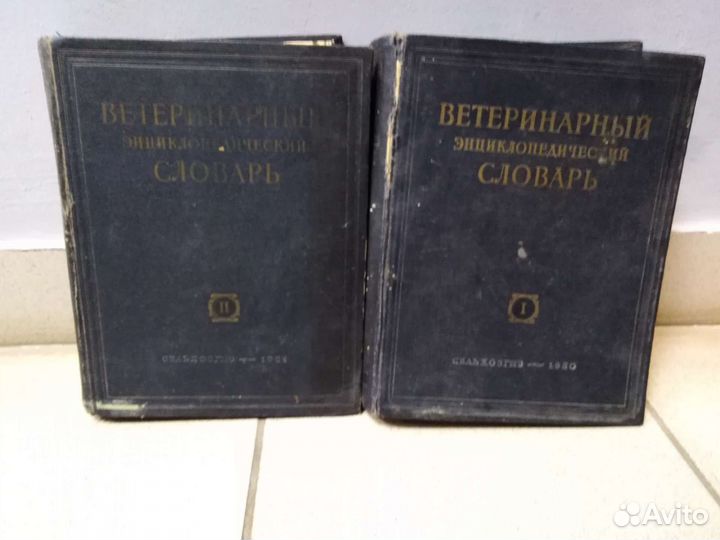 Ветеринарный энциклопедический словарь. Скрябин