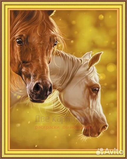 Алмазная мозаика 40x50 Ухоженные красивые лошади