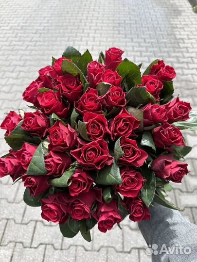 Розы красные 50см,доставка цветов