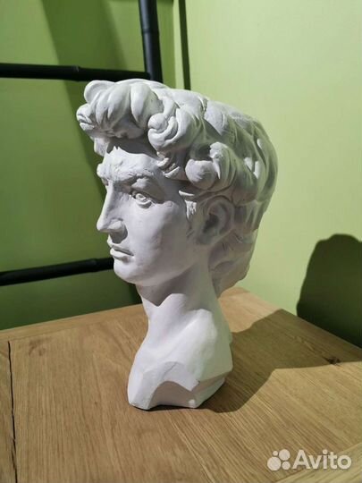 Бюст голова Давида. Гипс. Скульптура