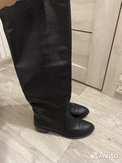 Сапоги осень весна женские