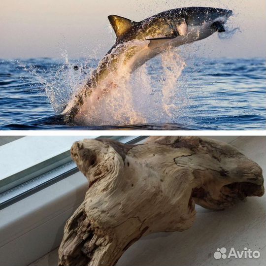 Дрифтвуд коряга морская 28см