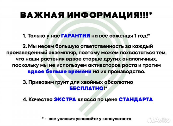 Можжевельник блю эрроу 1,76 м и др