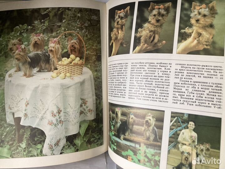 Детские подростковые книги