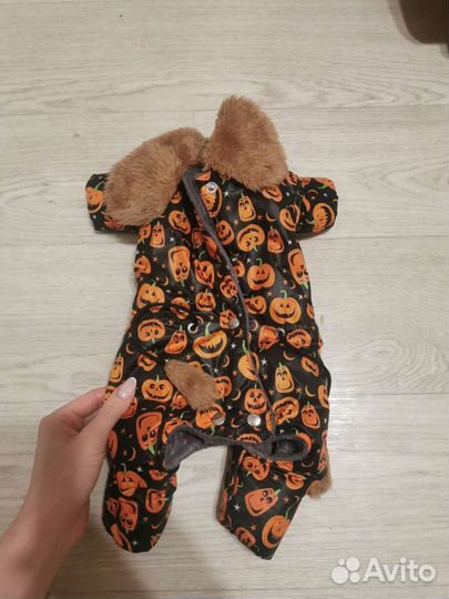 Курточка для тойчика