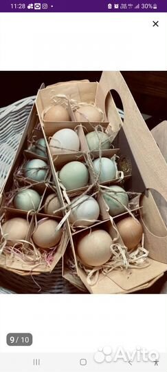 Домашние куриные яйца