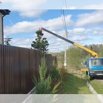 Аренда и услуги манипулятора, стрела 5 т, 15.5 м, борт 5 т, 6 м, Волоколамск