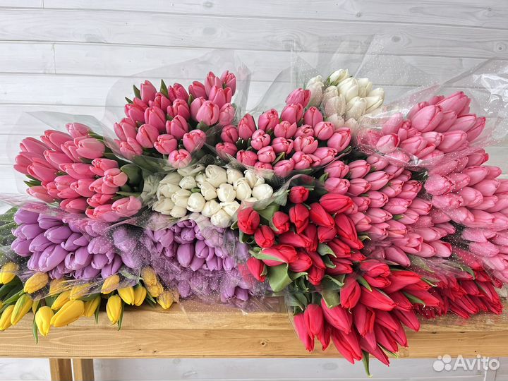 Тюльпаны к 8 марта