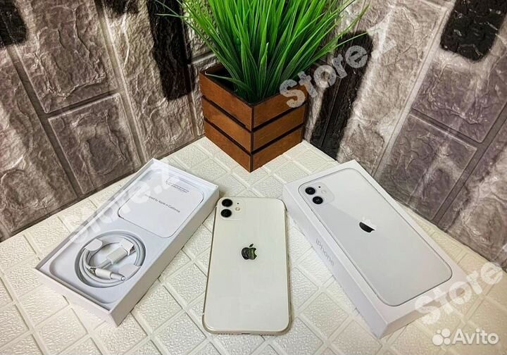 iPhone 11