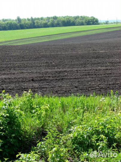 Перегной,земля плодородная,навоз,торф,чернозем