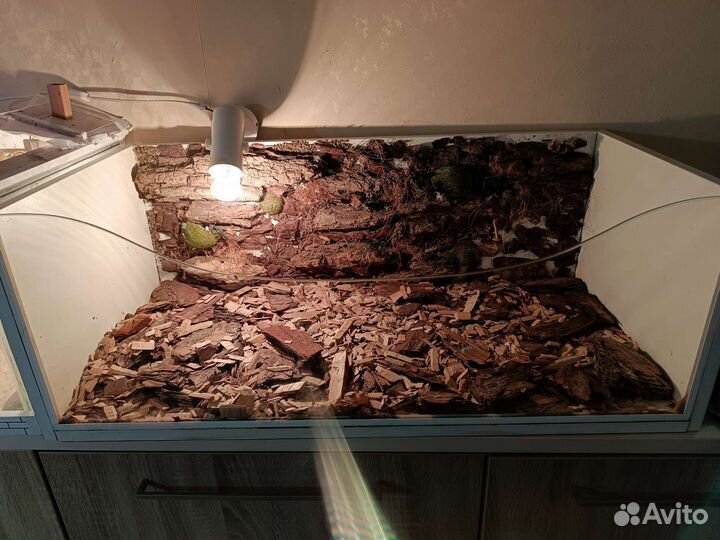 Террариум большой