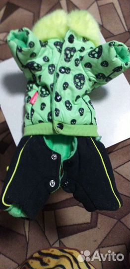 Зимний комбинезон для маленькой собаки