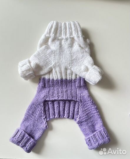 Комбинезон и шапочка для маленькой собаки вязаный